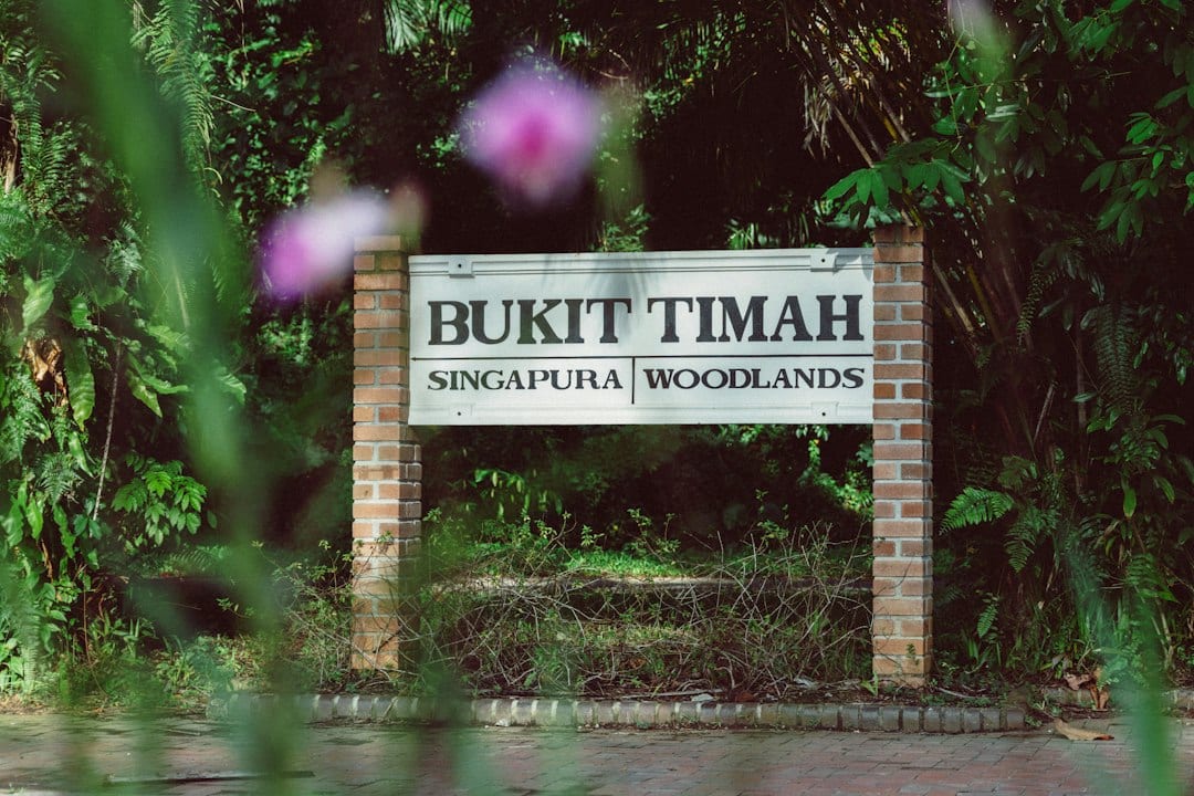 Entrance sign to Bukit Timah Nature Reserve surrounded by trees