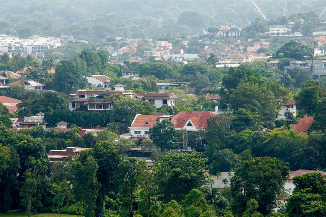 Tree-lined residential street with landed homes in Upper Bukit Timah, District 21